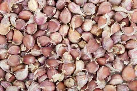 Cloves of garlic Stock Photos