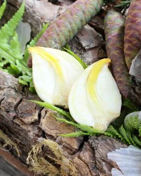 Cloves of garlic Stock Photos
