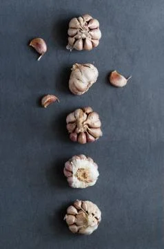 Cloves of garlic in a row Stock Photos
