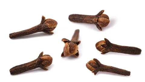 Cloves group Stock Photos