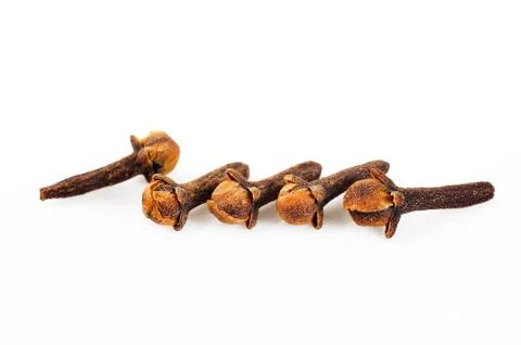 Cloves herb Stock Photos