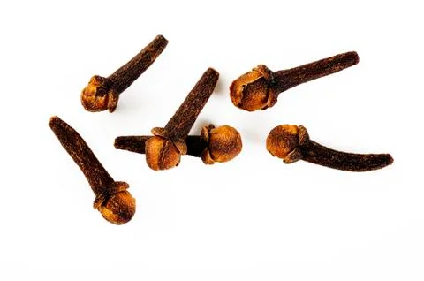 Cloves herb 스톡 사진