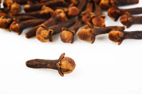 Cloves herb Stock Photos
