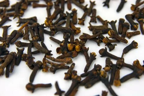 Cloves isolated on white background Stock Photos
