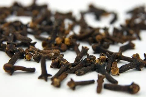 Cloves isolated on white background Stock Photos