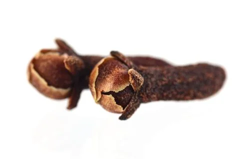 Cloves isolated on white background Stock Photos