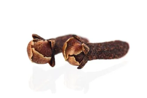 Cloves isolated on white background Stock Photos