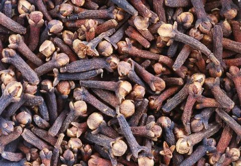 Cloves macro Stock Photos