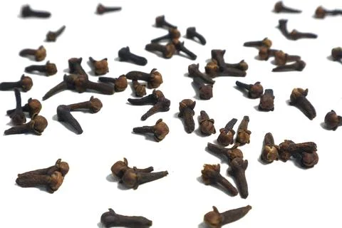 Cloves or cengkeh on white background, are used as a spicy cooking spice in.. Foto stock