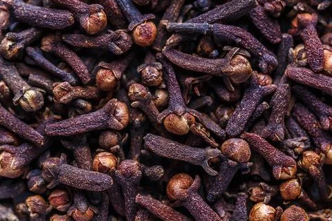 Cloves spice. A mixture of different spices close up. Textures of colorful sp Stock Photos