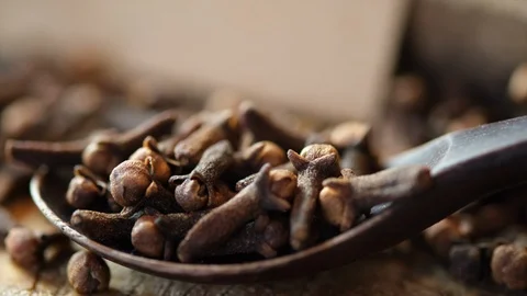 Cloves Spices Stock-Footage 102411735
