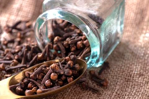 Cloves on spoon Stock Photos