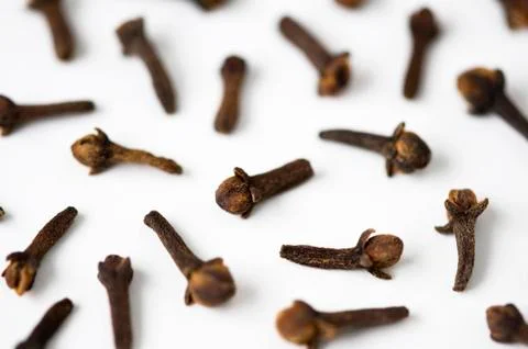 Cloves on a white background Stock Photos