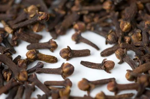 Cloves on a white background Stock Photos