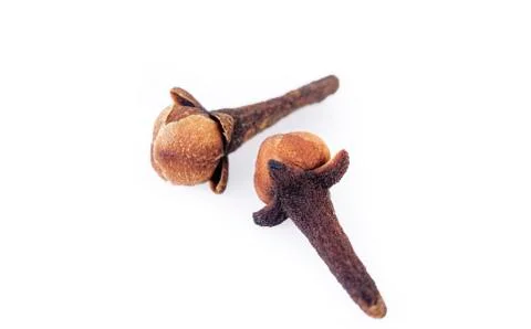 Cloves on white background Stock Photos