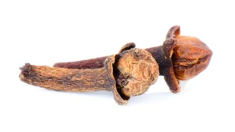 Cloves on white background Stock Photos