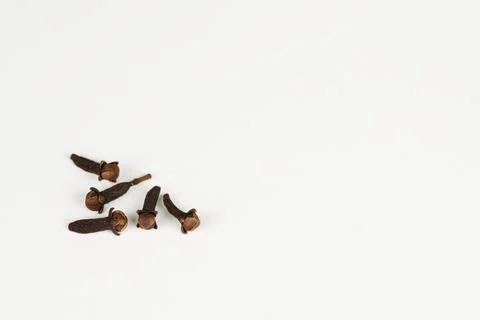 Cloves on white Foto stock