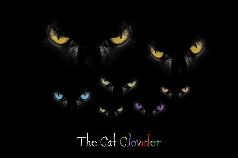 Clowder of cats in the dark with slogan Stock Illustration