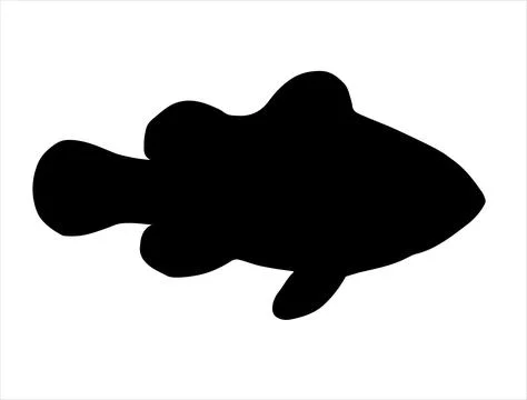 Clowfish silhouette vector art Stock Illustration
