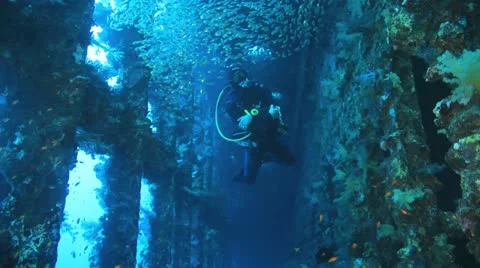 Clown at the anemone Stock Footage 22637891