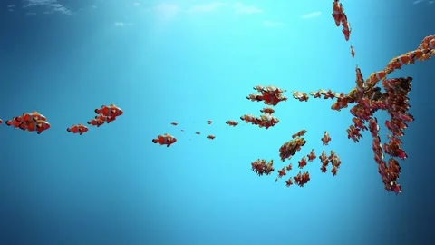 Clown fish, Crowd of fishs behaviour. Flocking boids simulation. coral reef Stock Footage 237152187