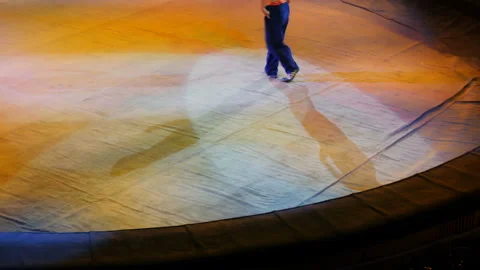 Clown performance in the circus Stock Footage 139103305