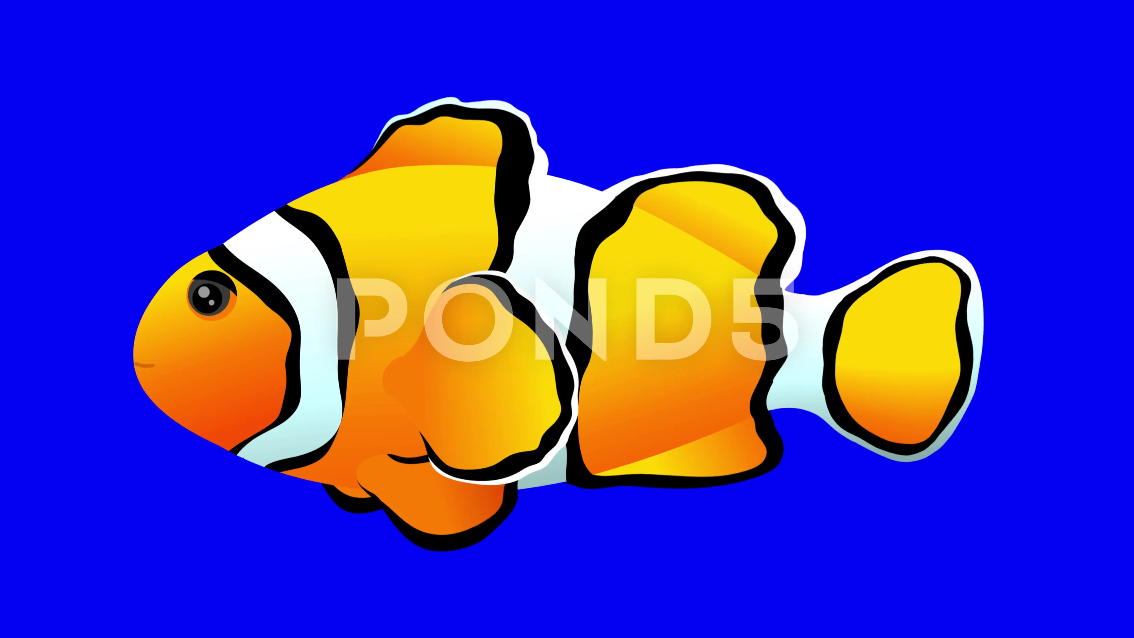 Clownfish cartoon animation. Clown fish. | Stock Video | Pond5