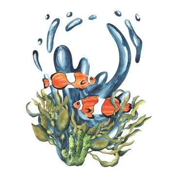 Clownfish composition with algae seaweed kelp and water splash underwater. Hand Stock Illustration