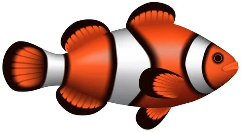 Clownfish Stock Illustration