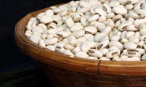 Clsoe up white bean background Stock Photos