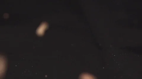 Clsoeup of buckwheat seed falling to the black background slow motion, macro Stock Footage 76194706