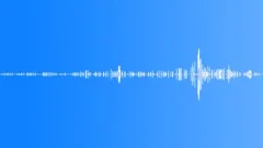 Clucking hensSound Effect