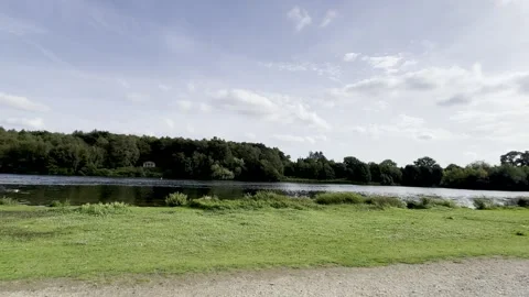 Clumber Park Stock Footage 317628748