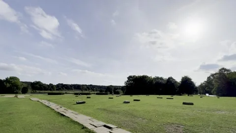 Clumber Park Stock Footage 317628805