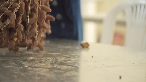 A clump of dates posed on the table Stock Footage 79736798