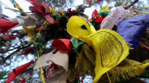  Clump of prayer flags  Stock Footage 65775752