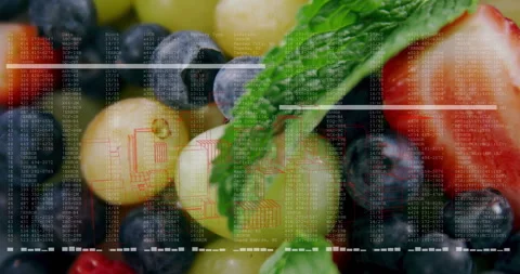 Cluster of assorted berries floating over data code overlay 3D render, glossing Stock Footage 309097784