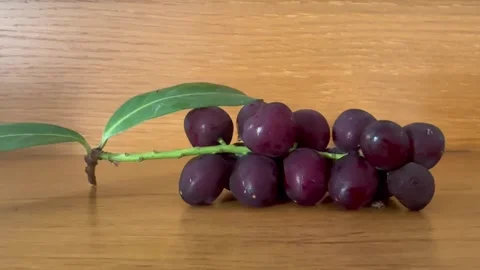 Cluster of blackcurrants, freshness fruit Stock Footage 341441442