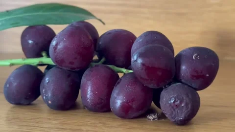 Cluster of blackcurrants, freshness fruit Stock Footage 341441448