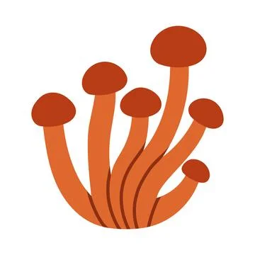 Cluster of brown honey mushrooms vector illustration isolated on white. Great Stock Illustration