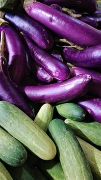 Cluster of cucumbers and eggplants Stock Photos
