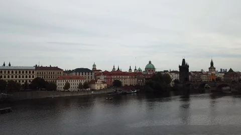 Cluster of doves Stock Footage 124888053