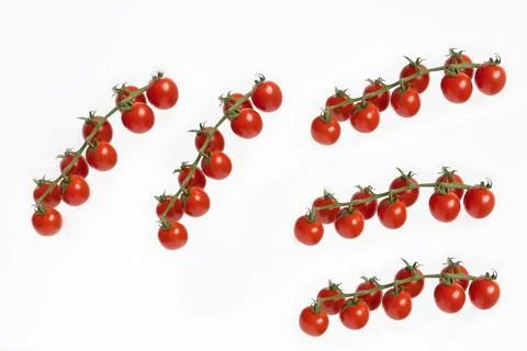 Cluster of fresh red cherry tomatoes. 写真素材