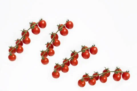 Cluster of fresh red cherry tomatoes. Stock Photos