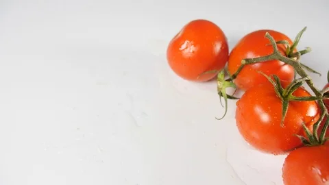 A cluster of fresh red tomatoes off the vine rolling on a white  Stock Footage 88528078