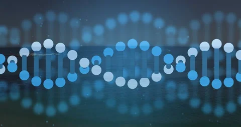 Cluster of glowing circles emerging from right edge building DNA helix showing Video stock 310283096
