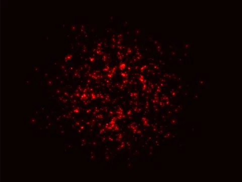 A cluster of glowing lights of different sizes. Starlight. The city lights at Stock Illustration