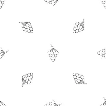 Cluster grape pattern seamless vector Stock Illustration