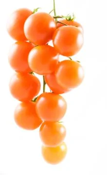 A cluster of isolated cherry tomatoes Stock Photos