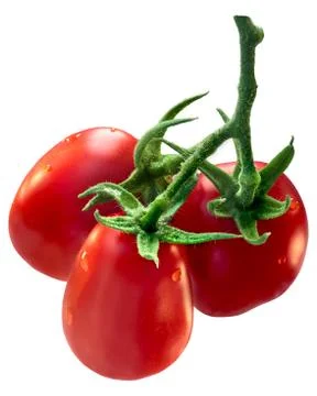 Cluster of plum Roma tomatoes, path Stock Photos